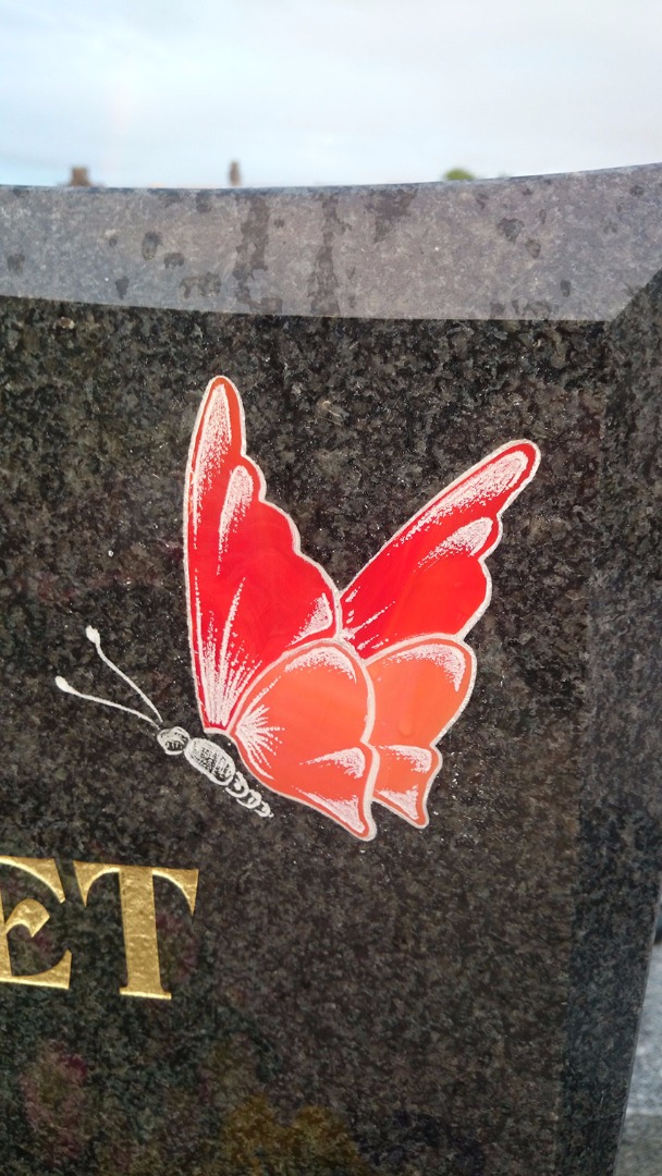 Gravure et coloration d'un papillon